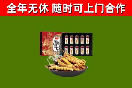 亳州烟酒回收冬虫夏草礼盒.jpg
